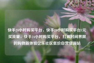 快手24小时购买平台，快手24小时购买平台1元买流量，快手24小时购买平台，打破时间界限的购物新体验亿乐社区低价自营货源站