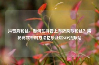 抖音刷粉丝，如何在抖音上有效刷取粉丝？揭秘高效率的方法亿乐社区SUP货源站