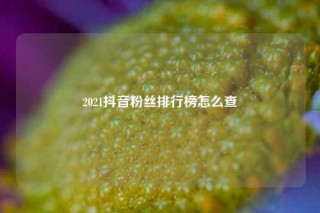 2021抖音粉丝排行榜怎么查