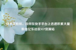 快手买粉丝，如何在快手平台上迅速积累大量粉丝亿乐社区SUP货源站