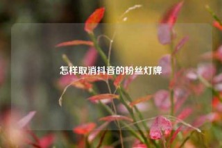 怎样取消抖音的粉丝灯牌