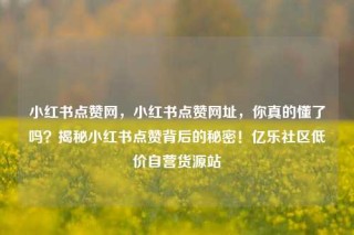 小红书点赞网，小红书点赞网址，你真的懂了吗？揭秘小红书点赞背后的秘密！亿乐社区低价自营货源站