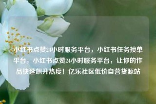 小红书点赞24小时服务平台，小红书任务接单平台，小红书点赞24小时服务平台，让你的作品快速飙升热度！亿乐社区低价自营货源站
