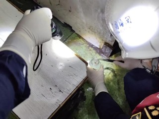 深圳一海关在入境渔船中截获德国小蠊20000余只
