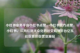 小红书业务平台小红书点赞，小红书官方点赞，小红书，从网红到大众化的社交购物平台亿乐社区低价自营货源站