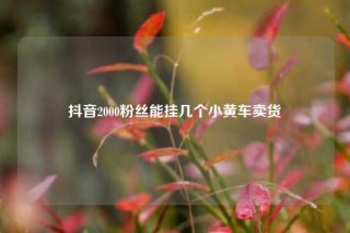 抖音2000粉丝能挂几个小黄车卖货