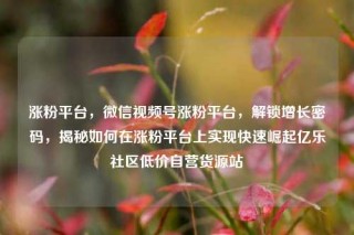 涨粉平台，微信视频号涨粉平台，解锁增长密码，揭秘如何在涨粉平台上实现快速崛起亿乐社区低价自营货源站
