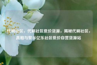 代刷社区，代刷社区低价货源，揭秘代刷社区，真相与警示亿乐社区低价自营货源站
