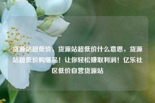 货源站超低价，货源站超低价什么意思，货源站超低价购爆品！让你轻松赚取利润！亿乐社区低价自营货源站