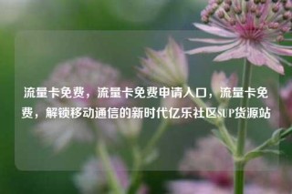 流量卡免费，流量卡免费申请入口，流量卡免费，解锁移动通信的新时代亿乐社区SUP货源站