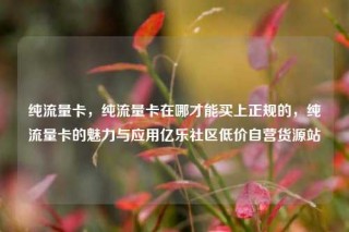 纯流量卡，纯流量卡在哪才能买上正规的，纯流量卡的魅力与应用亿乐社区低价自营货源站