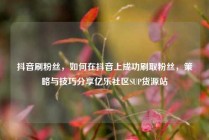抖音刷粉丝，如何在抖音上成功刷取粉丝，策略与技巧分享亿乐社区SUP货源站