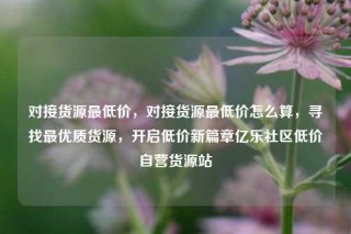 对接货源最低价，对接货源最低价怎么算，寻找最优质货源，开启低价新篇章亿乐社区低价自营货源站