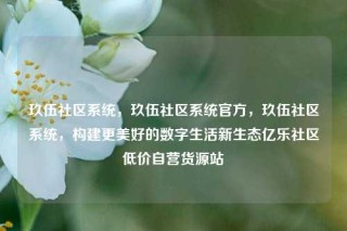 玖伍社区系统，玖伍社区系统官方，玖伍社区系统，构建更美好的数字生活新生态亿乐社区低价自营货源站