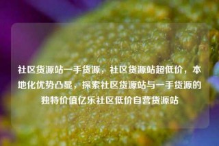社区货源站一手货源，社区货源站超低价，本地化优势凸显，探索社区货源站与一手货源的独特价值亿乐社区低价自营货源站