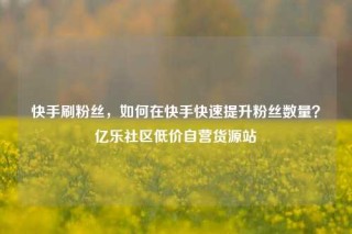 快手刷粉丝，如何在快手快速提升粉丝数量？亿乐社区低价自营货源站