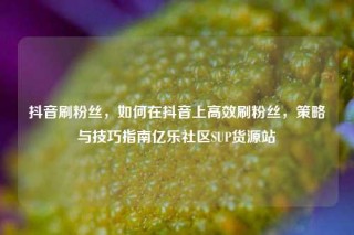 抖音刷粉丝，如何在抖音上高效刷粉丝，策略与技巧指南亿乐社区SUP货源站