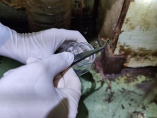 深圳一海关在入境渔船中截获德国小蠊20000余只