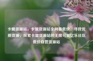 卡盟货源站，卡盟货源站全网最低价，寻找优质货源，探索卡盟货源站的无限可能亿乐社区低价自营货源站