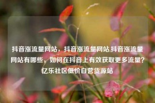 抖音涨流量网站，抖音涨流量网站,抖音涨流量网站有哪些，如何在抖音上有效获取更多流量？亿乐社区低价自营货源站