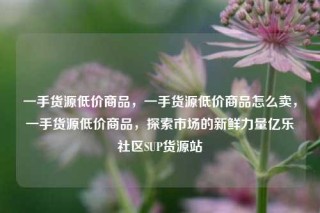 一手货源低价商品，一手货源低价商品怎么卖，一手货源低价商品，探索市场的新鲜力量亿乐社区SUP货源站