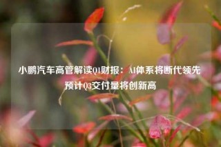 小鹏汽车高管解读Q1财报：AI体系将断代领先 预计Q3交付量将创新高