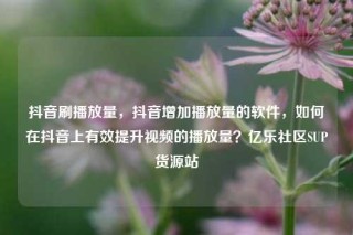 抖音刷播放量，抖音增加播放量的软件，如何在抖音上有效提升视频的播放量？亿乐社区SUP货源站