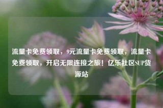 流量卡免费领取，9元流量卡免费领取，流量卡免费领取，开启无限连接之旅！亿乐社区SUP货源站