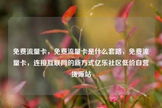 免费流量卡，免费流量卡是什么套路，免费流量卡，连接互联网的新方式亿乐社区低价自营货源站
