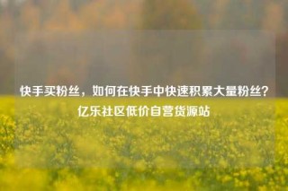快手买粉丝，如何在快手中快速积累大量粉丝？亿乐社区低价自营货源站