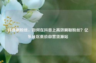 抖音刷粉丝，如何在抖音上高效刷取粉丝？亿乐社区低价自营货源站