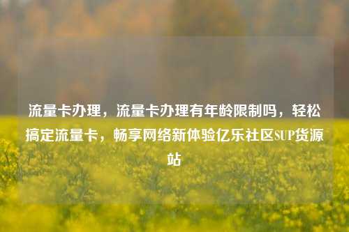 流量卡办理，流量卡办理有年龄限制吗，轻松搞定流量卡，畅享网络新体验亿乐社区SUP货源站  第1张