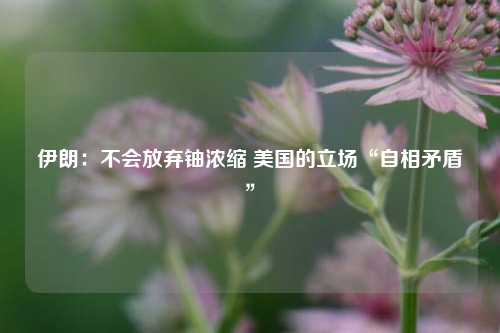 伊朗：不会放弃铀浓缩 美国的立场“自相矛盾”  第1张