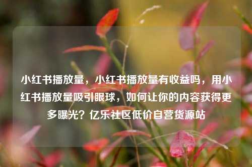 小红书播放量	，小红书播放量有收益吗，用小红书播放量吸引眼球，如何让你的内容获得更多曝光？亿乐社区低价自营货源站  第1张