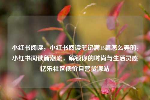小红书阅读，小红书阅读笔记满15篇怎么弄的，小红书阅读新潮流，解锁你的时尚与生活灵感亿乐社区低价自营货源站  第1张