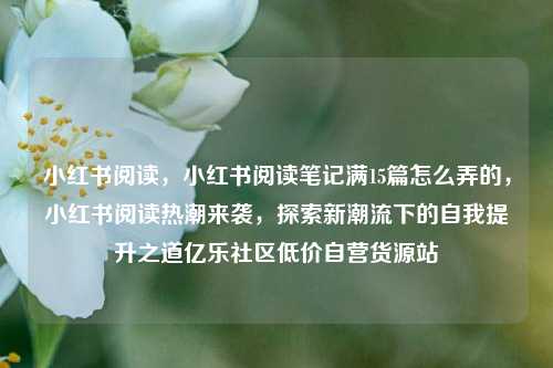 小红书阅读	，小红书阅读笔记满15篇怎么弄的，小红书阅读热潮来袭，探索新潮流下的自我提升之道亿乐社区低价自营货源站  第1张