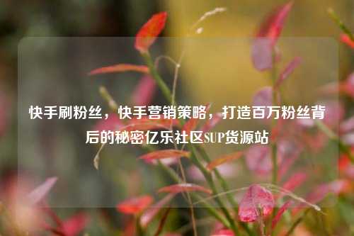 快手刷粉丝	，快手营销策略，打造百万粉丝背后的秘密亿乐社区SUP货源站  第1张