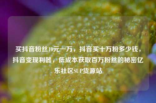 买抖音粉丝10元一万	，抖音买十万粉多少钱，抖音变现利器，低成本获取百万粉丝的秘密亿乐社区SUP货源站  第1张