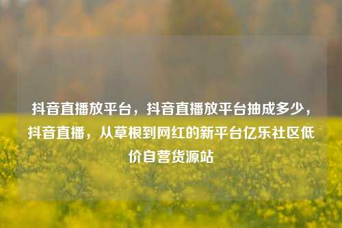 抖音直播放平台，抖音直播放平台抽成多少，抖音直播	，从草根到网红的新平台亿乐社区低价自营货源站  第1张