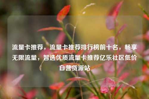 流量卡推荐，流量卡推荐排行榜前十名，畅享无限流量	，智选优质流量卡推荐亿乐社区低价自营货源站  第1张