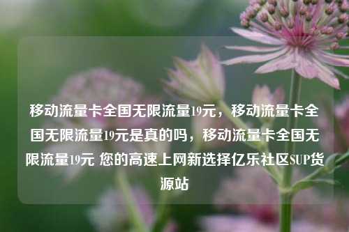 移动流量卡全国无限流量19元，移动流量卡全国无限流量19元是真的吗	，移动流量卡全国无限流量19元 您的高速上网新选择亿乐社区SUP货源站  第1张
