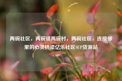两碗社区，两碗镇两碗村，两碗社区	，连接邻里的心灵桥梁亿乐社区SUP货源站  第1张