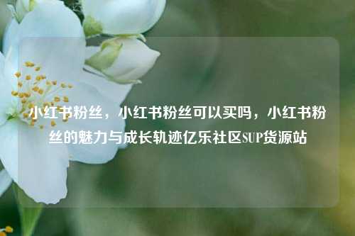 小红书粉丝，小红书粉丝可以买吗，小红书粉丝的魅力与成长轨迹亿乐社区SUP货源站  第1张