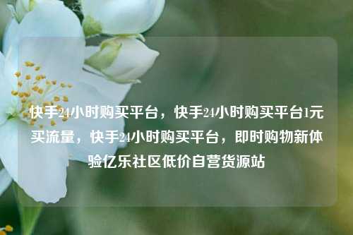 快手24小时购买平台，快手24小时购买平台1元买流量，快手24小时购买平台	，即时购物新体验亿乐社区低价自营货源站  第1张