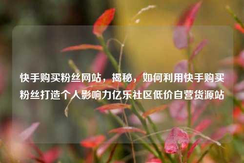 快手购买粉丝网站，揭秘，如何利用快手购买粉丝打造个人影响力亿乐社区低价自营货源站  第1张