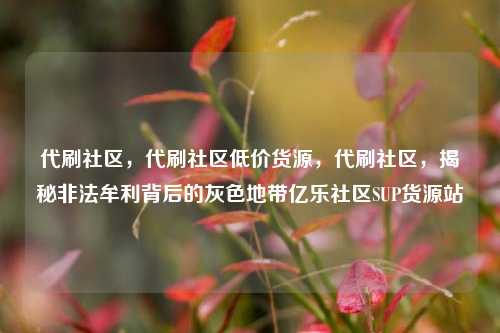 代刷社区，代刷社区低价货源	，代刷社区，揭秘非法牟利背后的灰色地带亿乐社区SUP货源站  第1张