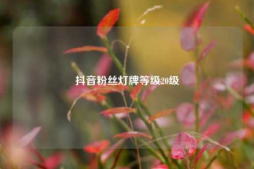 抖音粉丝灯牌等级20级  第1张