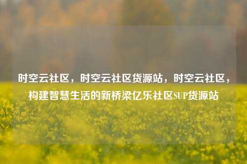 时空云社区，时空云社区货源站	，时空云社区，构建智慧生活的新桥梁亿乐社区SUP货源站  第1张