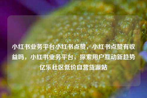 小红书业务平台小红书点赞，小红书点赞有收益吗	，小红书业务平台，探索用户互动新趋势亿乐社区低价自营货源站  第1张