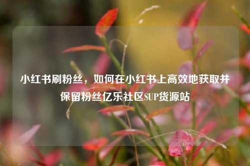 小红书刷粉丝，如何在小红书上高效地获取并保留粉丝亿乐社区SUP货源站  第1张